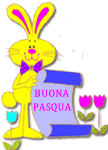 Immagini coniglio